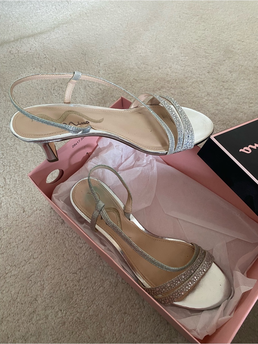 Nina Silver Johnson G Shoe Box with Logo